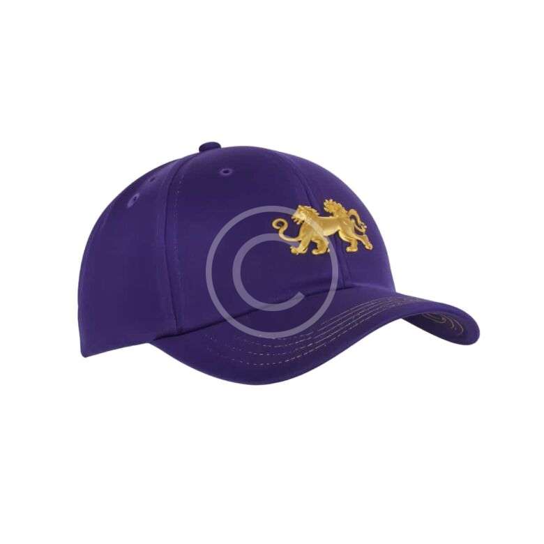 Catcher’s mask - Image 7